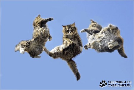 ���������! :)