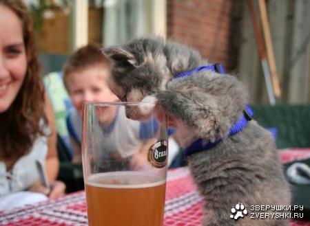 ��� ��� �� ��� �����? ;)