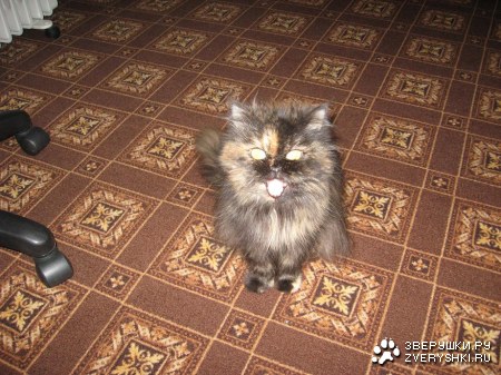 ��������� �����!