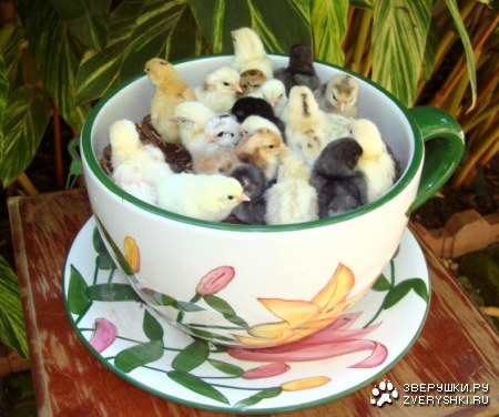 ����� ����� ��������� :)