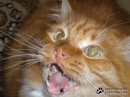 �� ����� �� ����! :)