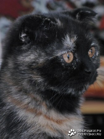 ����� ��������� ������ :) 