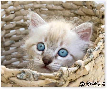 ������������ :)