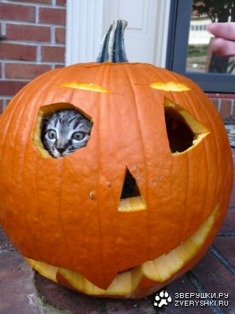 ��� � ����� ����? ;)