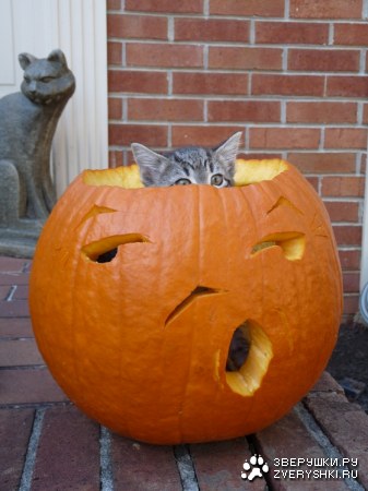 ��� � ����� ����? ;)