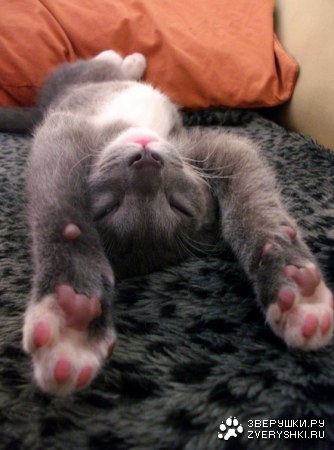 ��������� :)