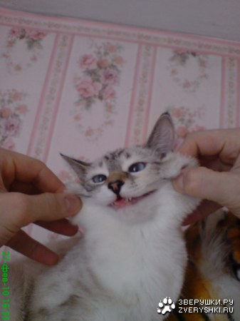 �������� ;)