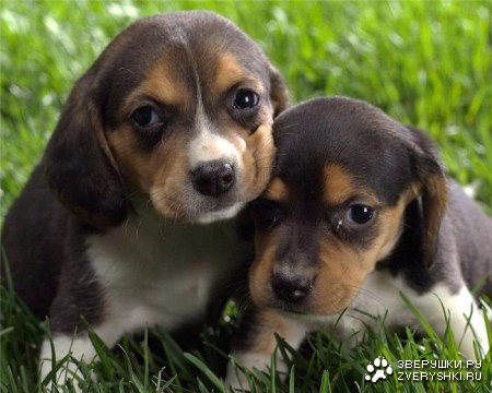 �������� ��� ����������! ;)