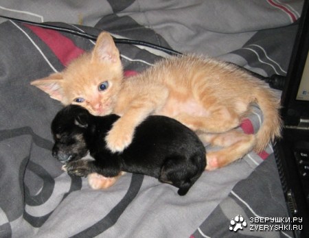 ��������� :)