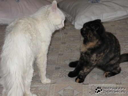 �� �������� �� ������ ��������?! :)