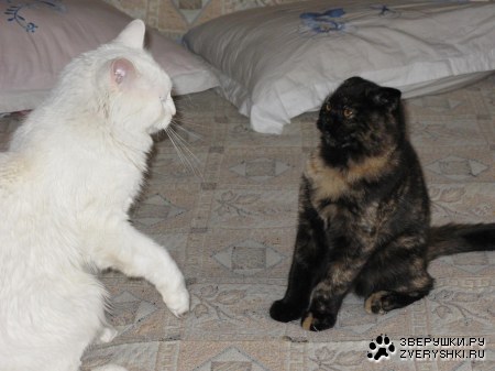 �� �������� �� ������ ��������?! :)