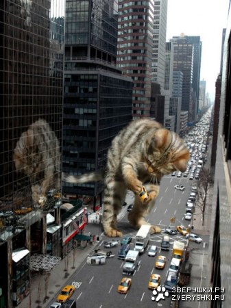 ���������� ��� :)