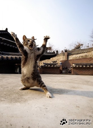 �� �������, ����� �������! :)