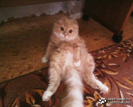 ��� ��� � ���� :)