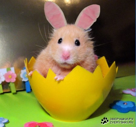 ���������� ������� :)