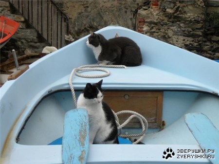 ����������? :)