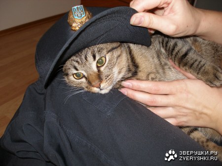 ���� ������! ��������! :)