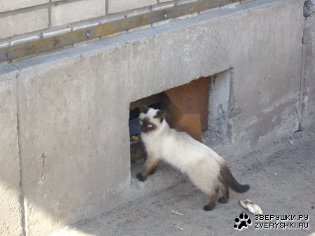 �������� ������ :)