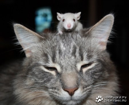 �� ���, �������! ;)