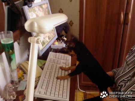 ����� ���������� ��������� :)