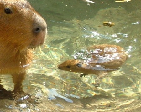 ������ ����� �������� ;)