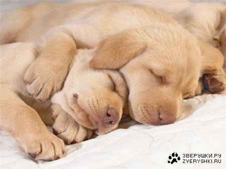 �������� ���� :)