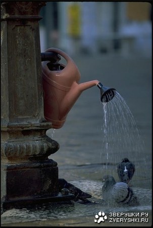 ��� ����� :)