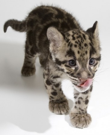 ��������� �������� :)