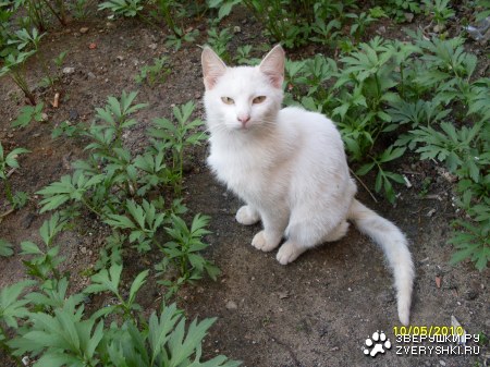 ������ :)