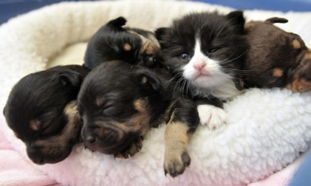 ���� ��� � �����?! :)