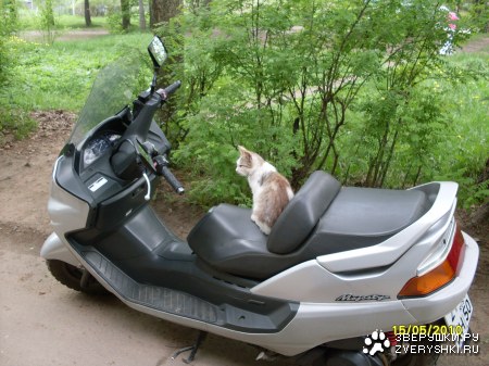 ��� �� �� ���������? ;)