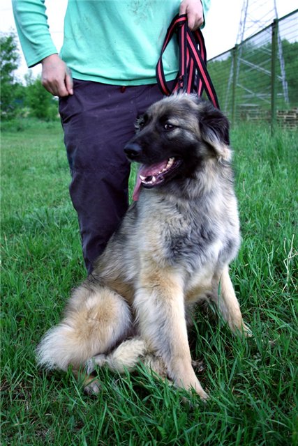 ���������� ������� � ������� ����!