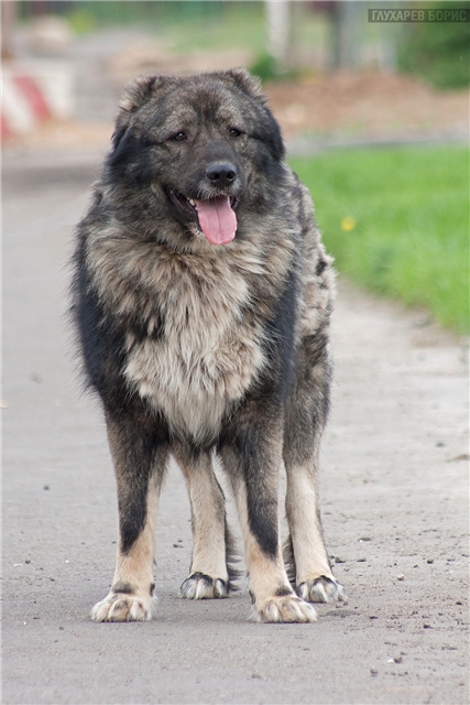 ���������� ������� � ������� ����!