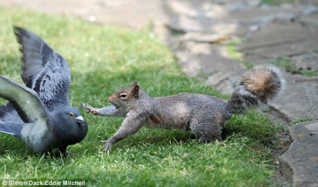 ����� ������ ������ :)