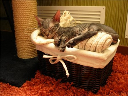 ������-��������� (6 ����)