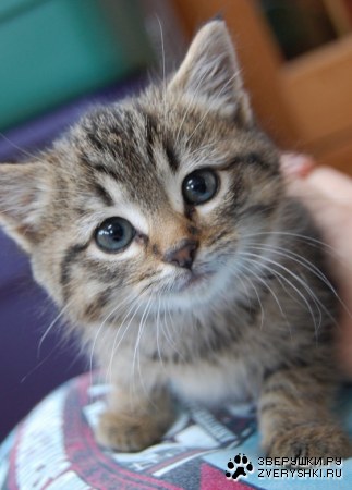 ��������� ;)