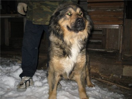 ���������� ������� � ������� ����!