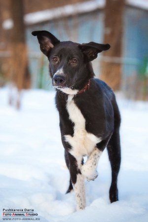 ���������� ������� � ������� ����!