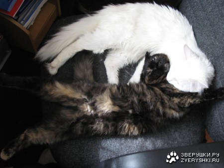 ����� ����� ���������� :-)