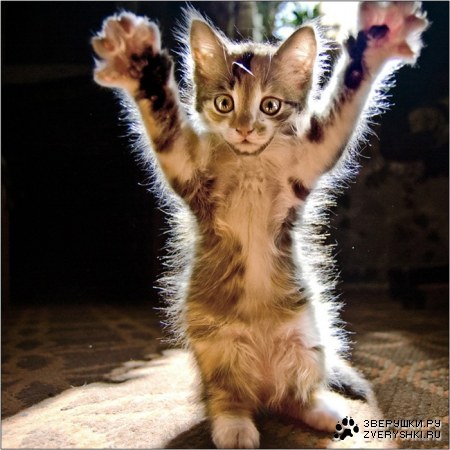 �������?! :)