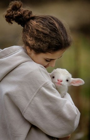 ����� �������� (19 ����)