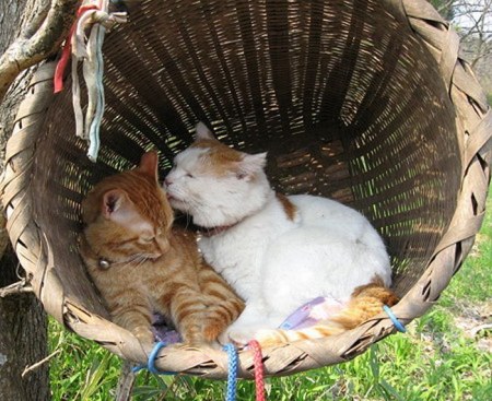 �����, ������� ����� ����� ����� (14 ����)