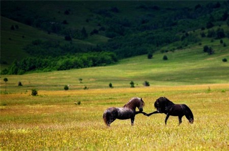 �������� (9 ����)