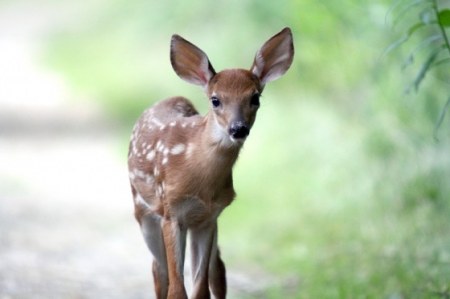 �������� :)