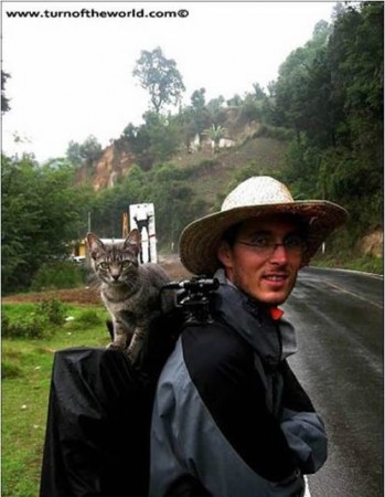 ���-�������������� (10 ����)