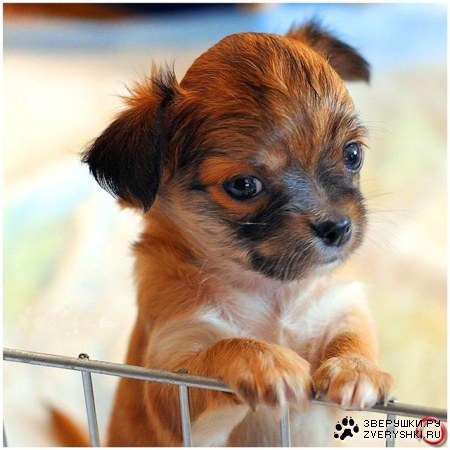 ������� ;)