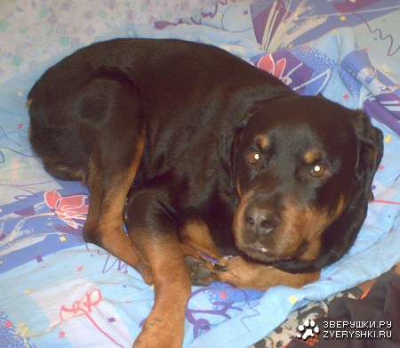 ���� �� ���... :)