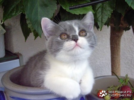 �������� ��� ���! :)