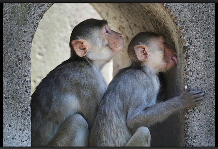 �������� �� ����� ���� (5 ����)