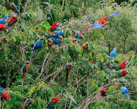 �������� (11 �������� ����)